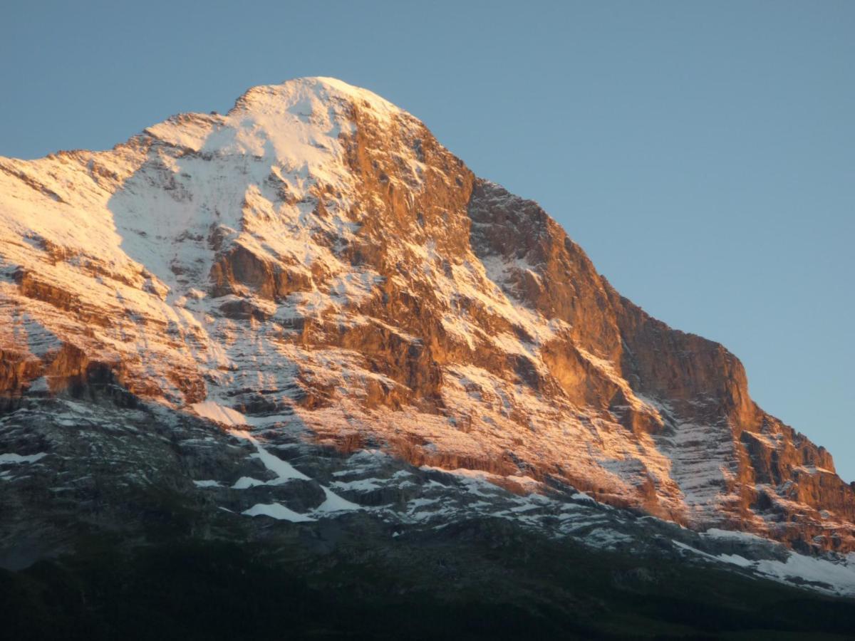 Studio Central Grindelwald Eksteriør billede